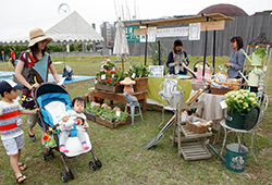 花苗・野菜苗等の販売